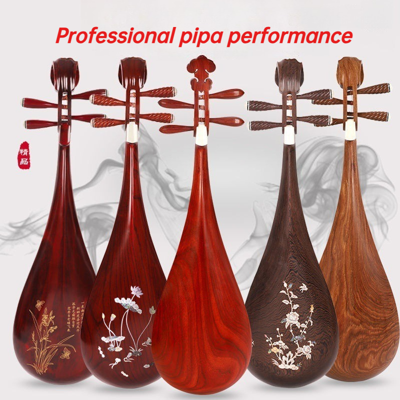 Adultes enfants Pipa professio - Musical Instrument Harmonium avis et prix