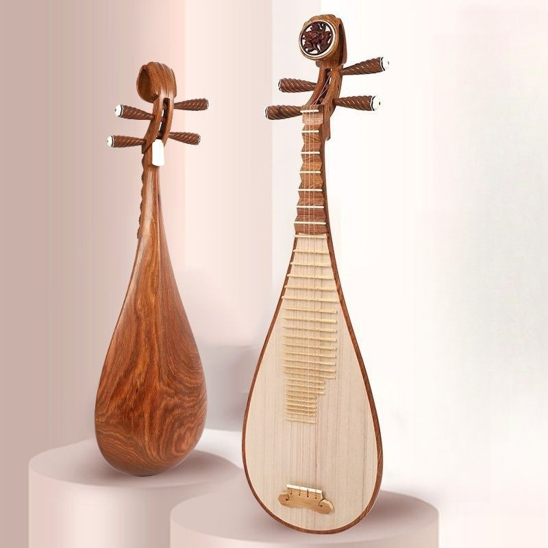 Adultes enfants Pipa professio - Musical Instrument Harmonium avis et prix