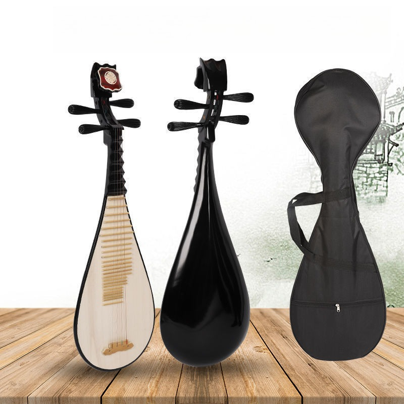 Adultes enfants Pipa professio - Musical Instrument Harmonium avis et prix